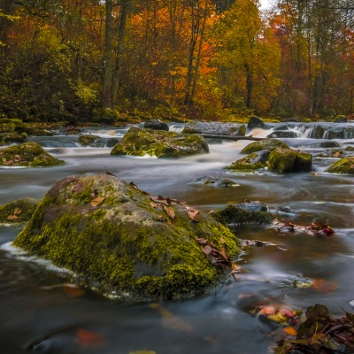 камни лес осень речка