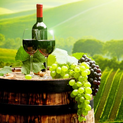виноград грозди вино