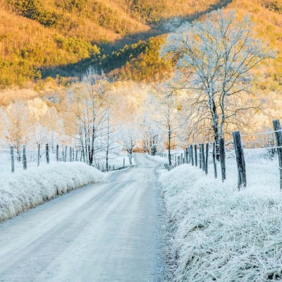 снег трава осень горы