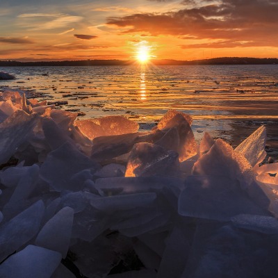 ледяные глыбы закат деревья небо море