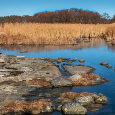 камни вода поле небо