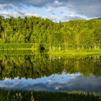 озеро лес зелень лето отражение