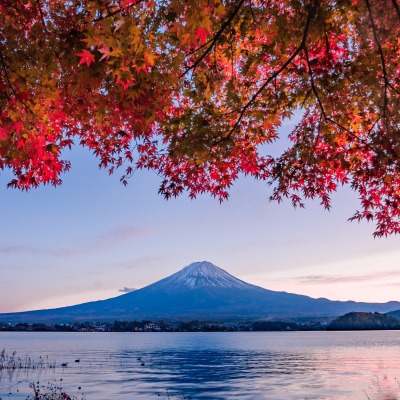 вулкан гора озеро ветви осень