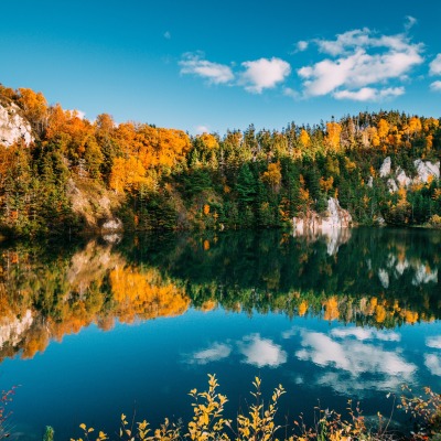 озеро водоем лес отражение штиль осень