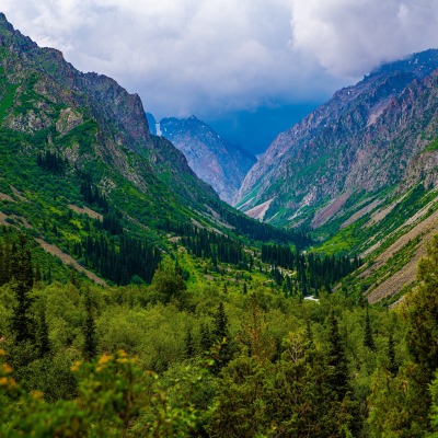 горы ущелье зелень скалы