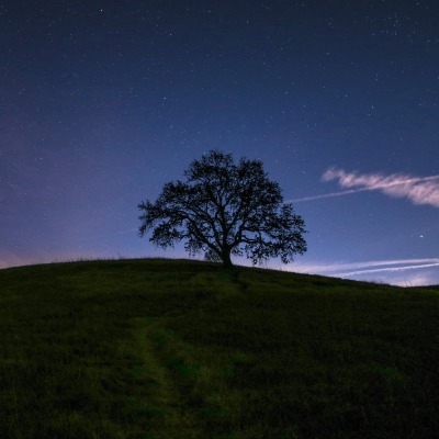 холм ночь звезды дерево