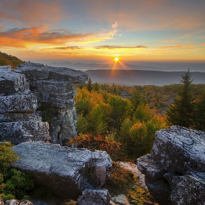 природа деревья закат камни