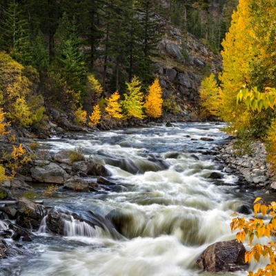 река деревья камни осень