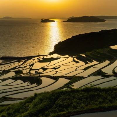 залив рисовые поля закат