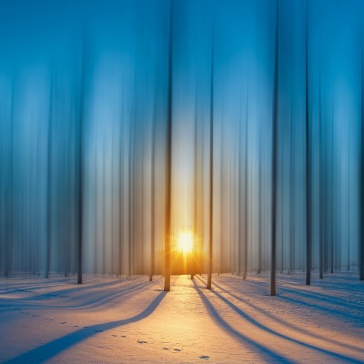 природа зима снег деревья солнечный свет