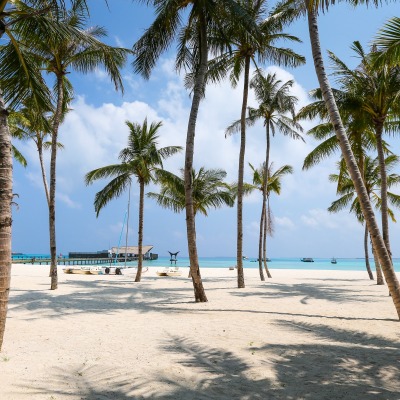 пляж пальмы песок океан