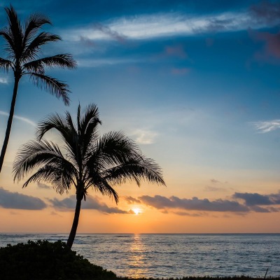 пальмы закат море небо