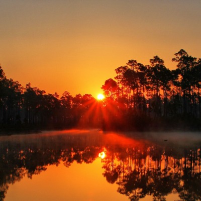 утро рассвет озеро водоем туман деревья