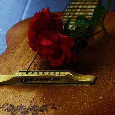цветок на гитаре