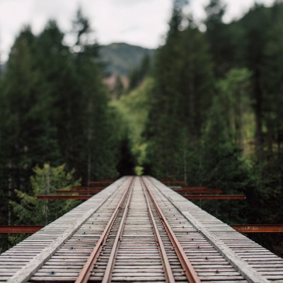 Железная дорога мост лес