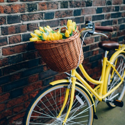 Велосипед тюльпаны желтые