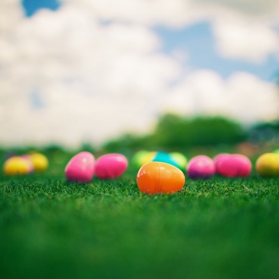 праздники яйца пасха трава природа holidays eggs Easter grass nature