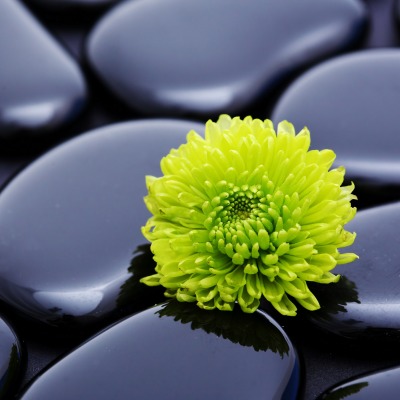 камни черные цветок