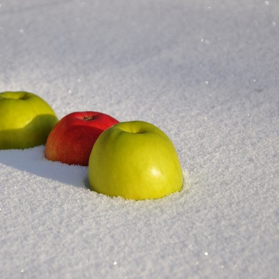 яблоки снег зима