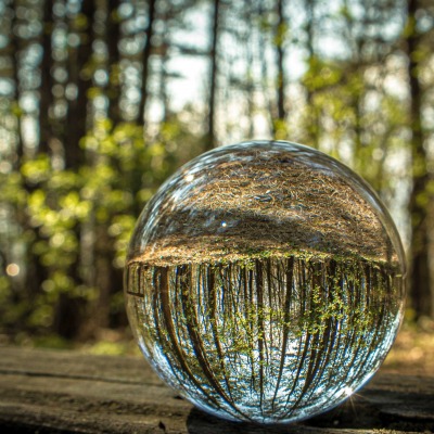 стеклянная сфера отражение деревья