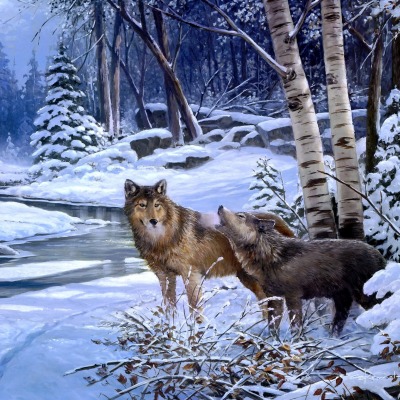 волки в зимнем лесу