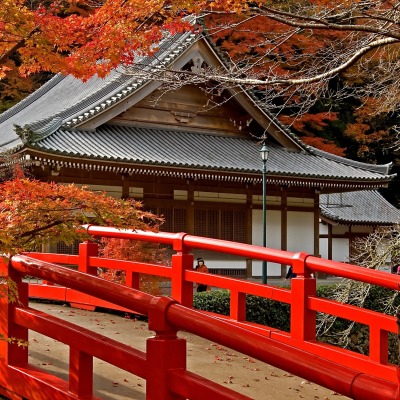 Японский дом с мостиком