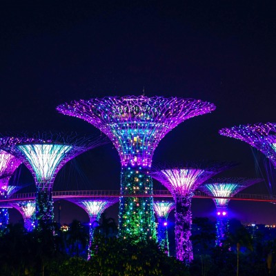 гирлянды сингапур парк свечение