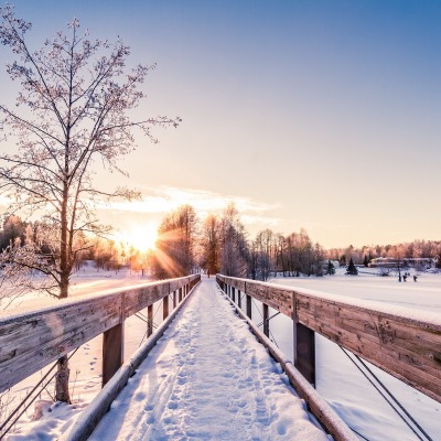 природа зима мост деревья